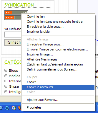 Sous Windows avec Internet Explorer : clic droit sur le lien -> Copier le raccourci