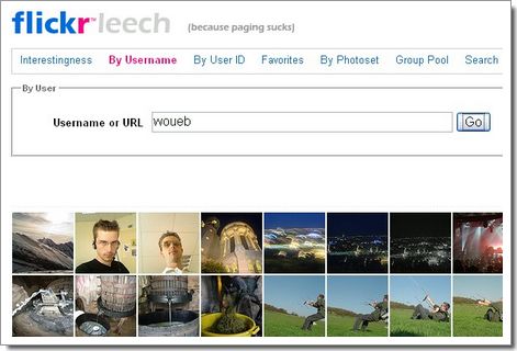 Flickrleech : recherche sur Flickr