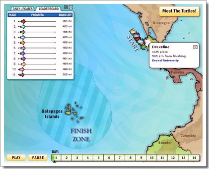 Course de tortue en live, et par GPS : la carte de suivie