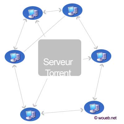 Comment marche les lients .torrent ? Un serveur distribue son fichier torrent à des clients qui à leur tour le redistribuent