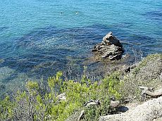 Romain en vacances à Hyères